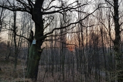 28947882_1890578597679107_2295930447377413950_o