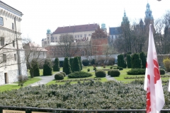 P1110037