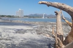 Panama 2019 881